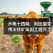 中国基建助力利比里亚博米铁矿开发?开工仪式引关注 中国基建助力利比里亚博米铁矿开发?开工仪式引关注